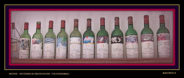 Quelques unes des bouteilles de Mouton Rothschild de ma collection personnelle - 