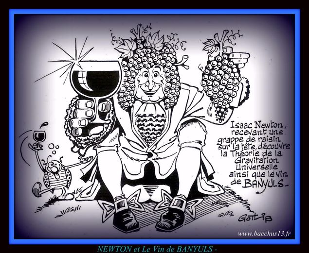 ISAAC NEWTON découvre le vin de Banyuls - Illustration Gotlib -