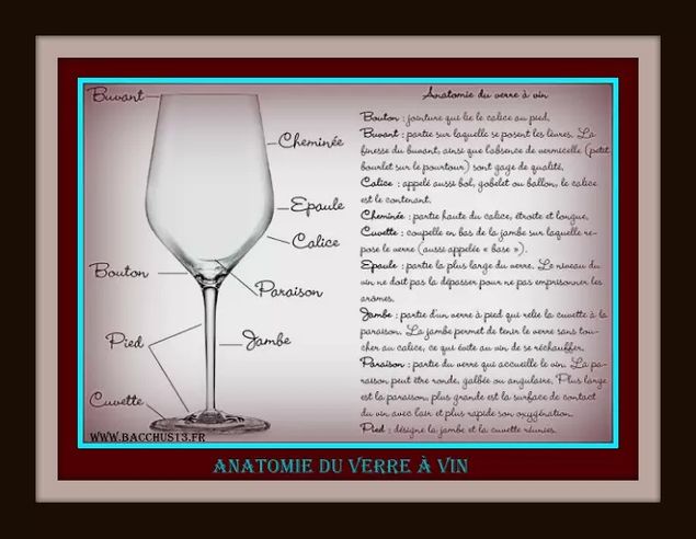 Le verre est un élément important de la dégustation . En voici une description détaillée ... Personnellement , le verre que j'utilise le plus fréquemment au quotidien est le verre INAO qui n'est pas cher et suffisamment précis pour apprécier les qualités d'un vin et d'y repérer quelques défauts .Mais il y a d'autres éléments à respecter comme la température de dégustation qui peut être déterminante pour goûter un vin. un vin servi trop frais emprisonnera les arômes du vin et servi trop chaud risquera de transformer vos sensations gustatives ( alcool dominant sur les rouges et sensation d'équilibre bouleversée par exemple ...)
