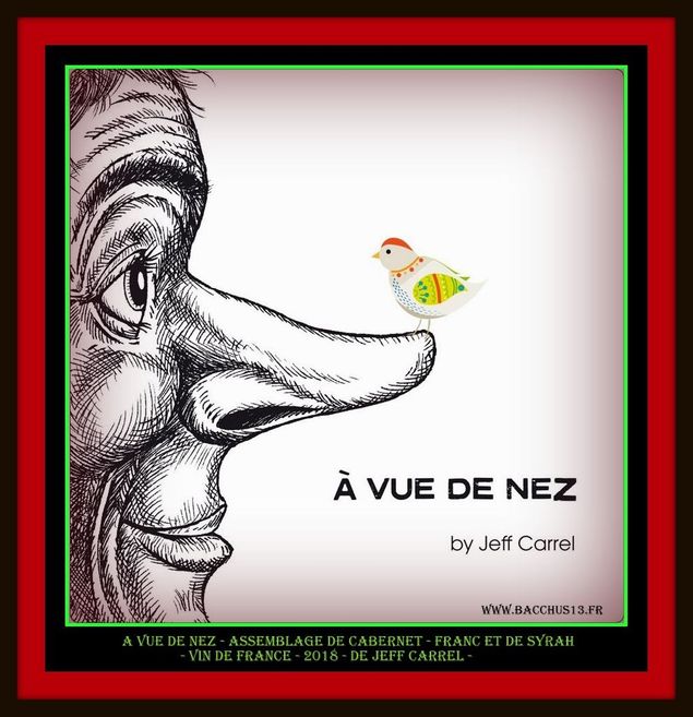 - Vin de France - 2018 - A Vue de Nez - de Jeff Carrel - Assemblage de Cabernet - Franc et de Syrah - 