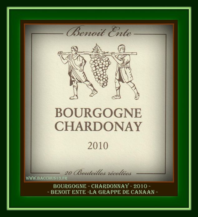 BOURGOGNE - CHARDONNAY - 2010 - BENOIT ENTE - FRANCE - 