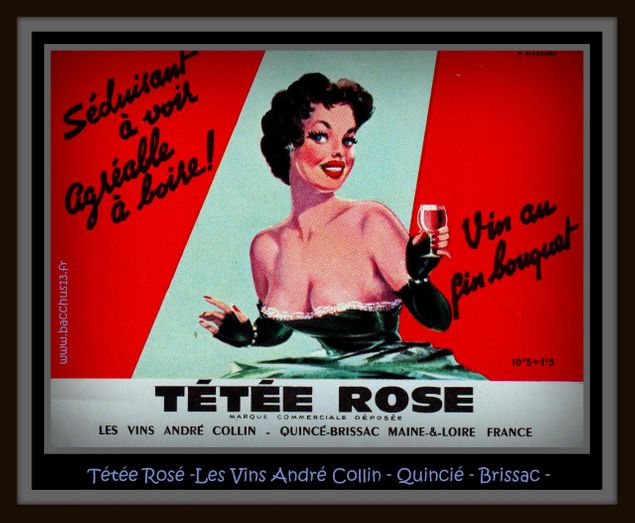 Tétée Rosé - Les Vins André Collin -Quincié - Brissac - 